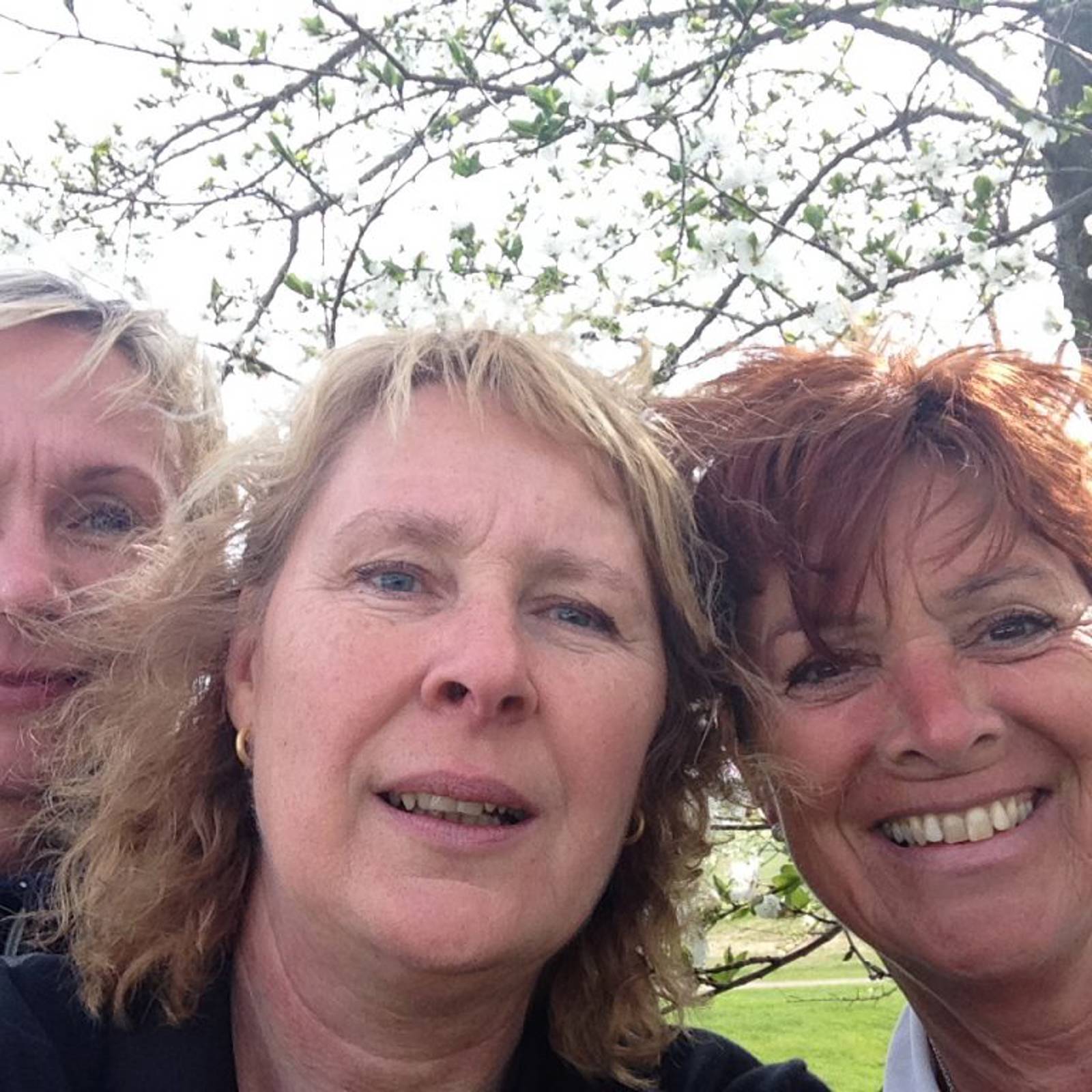 Damresa 0515 Bildgalleri.jpg