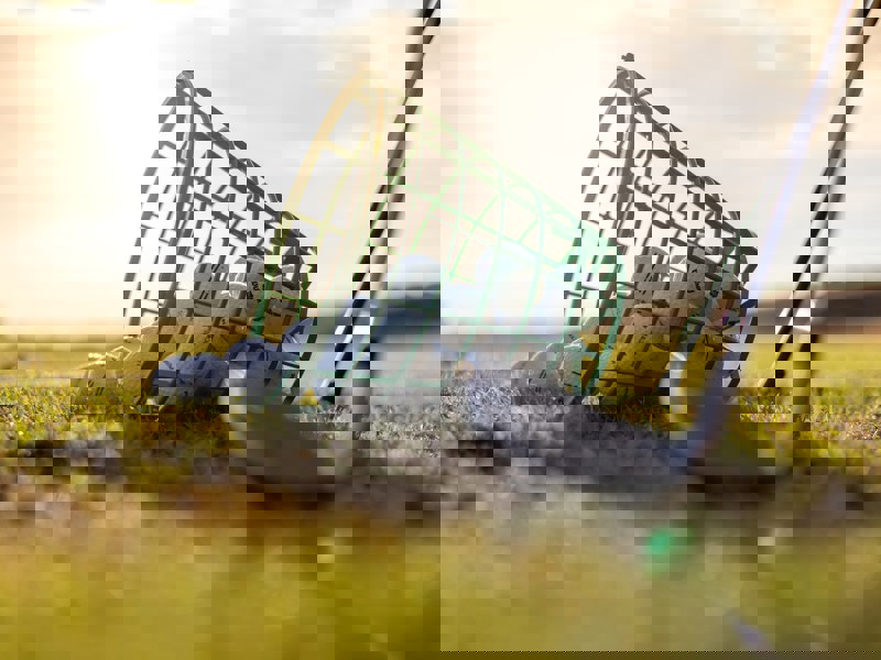 Nya bollar på rangen