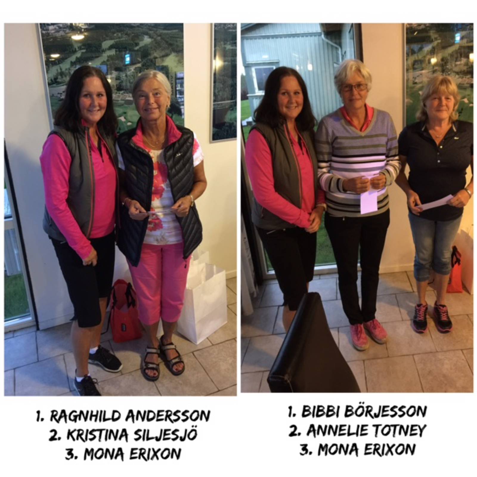 Damerna Bildgalleri (1).jpg