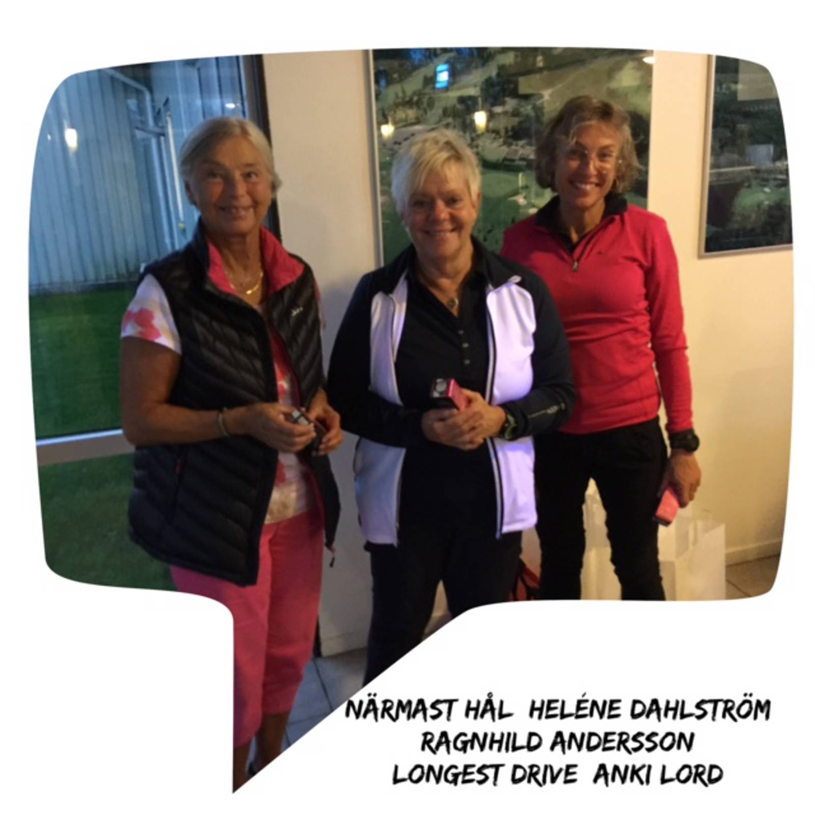 Damerna Bildgalleri.jpg