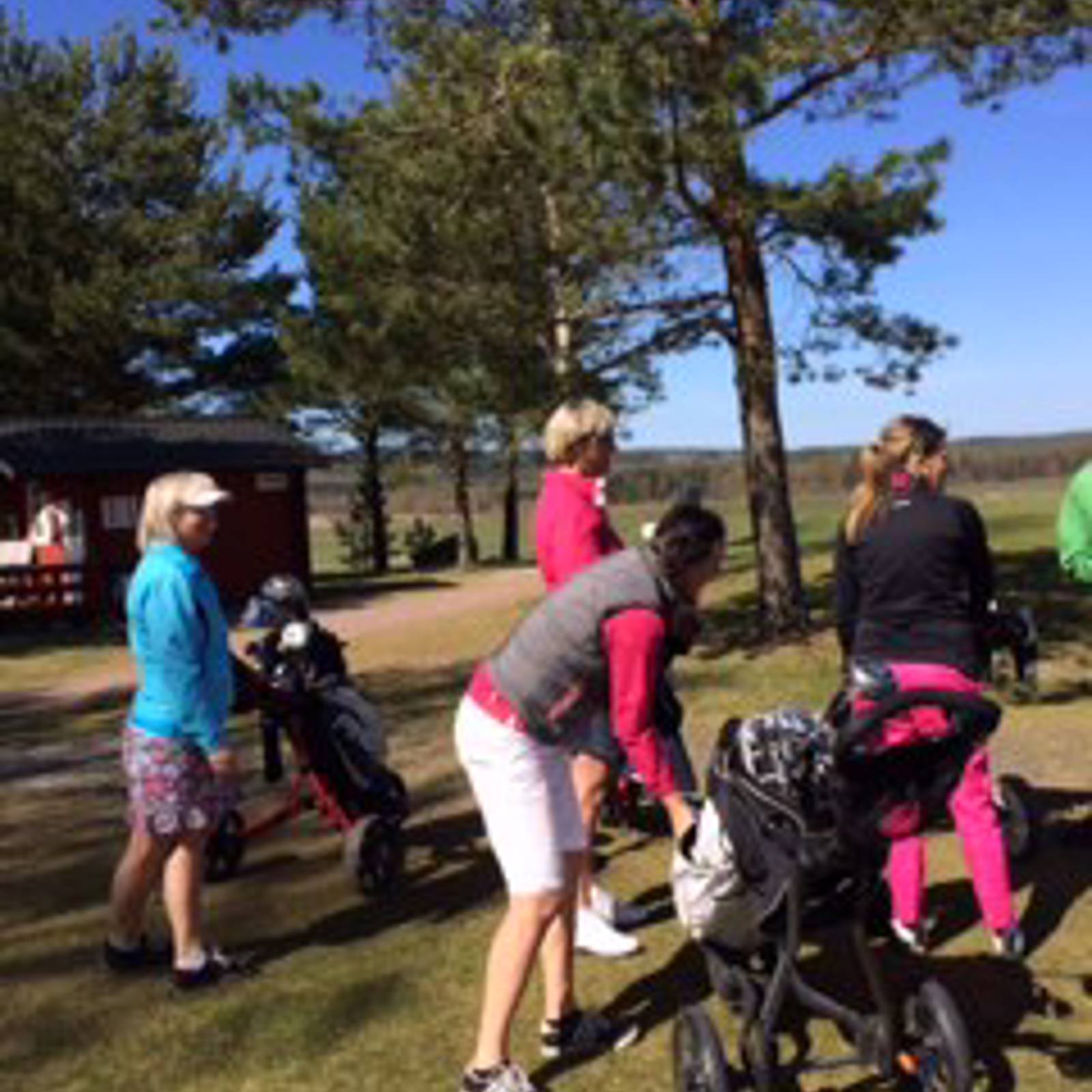 Bildgalleri Damerna (4).jpg