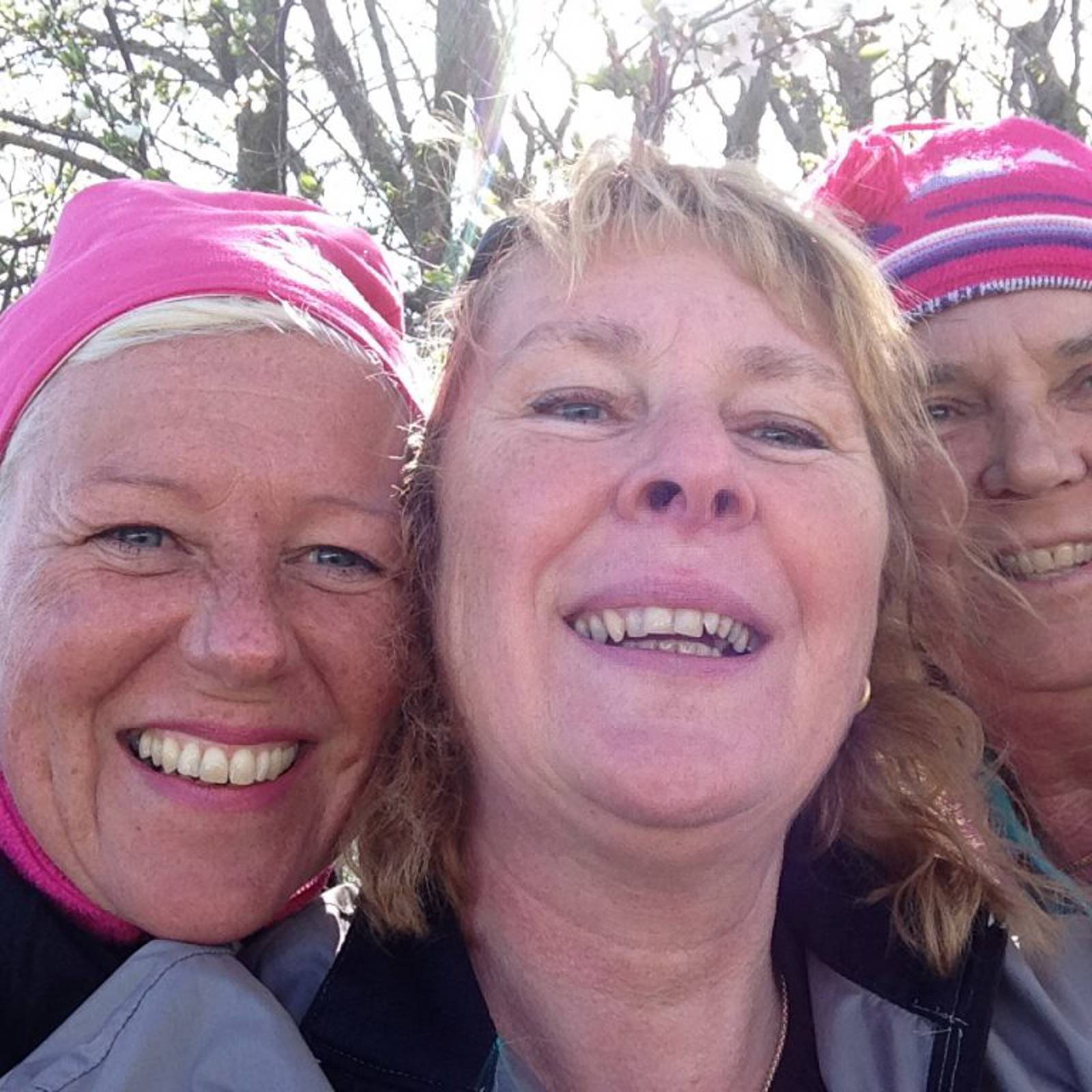 Damerna bildgalleri.jpg