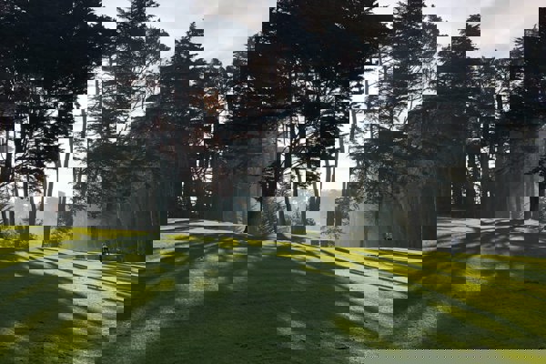 Nibh pellentesque dolor lorem