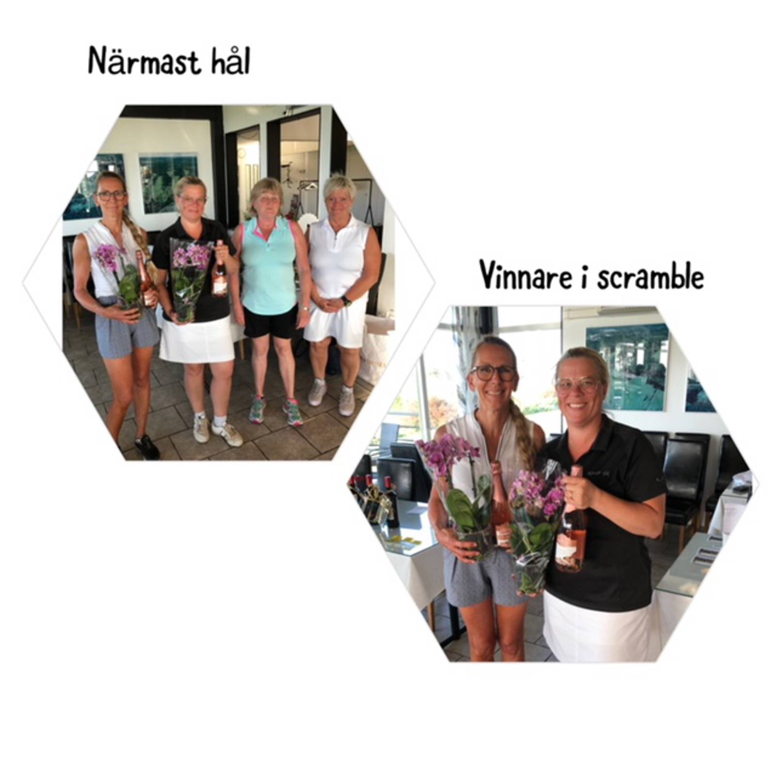 Bildgalleri Damerna.jpeg