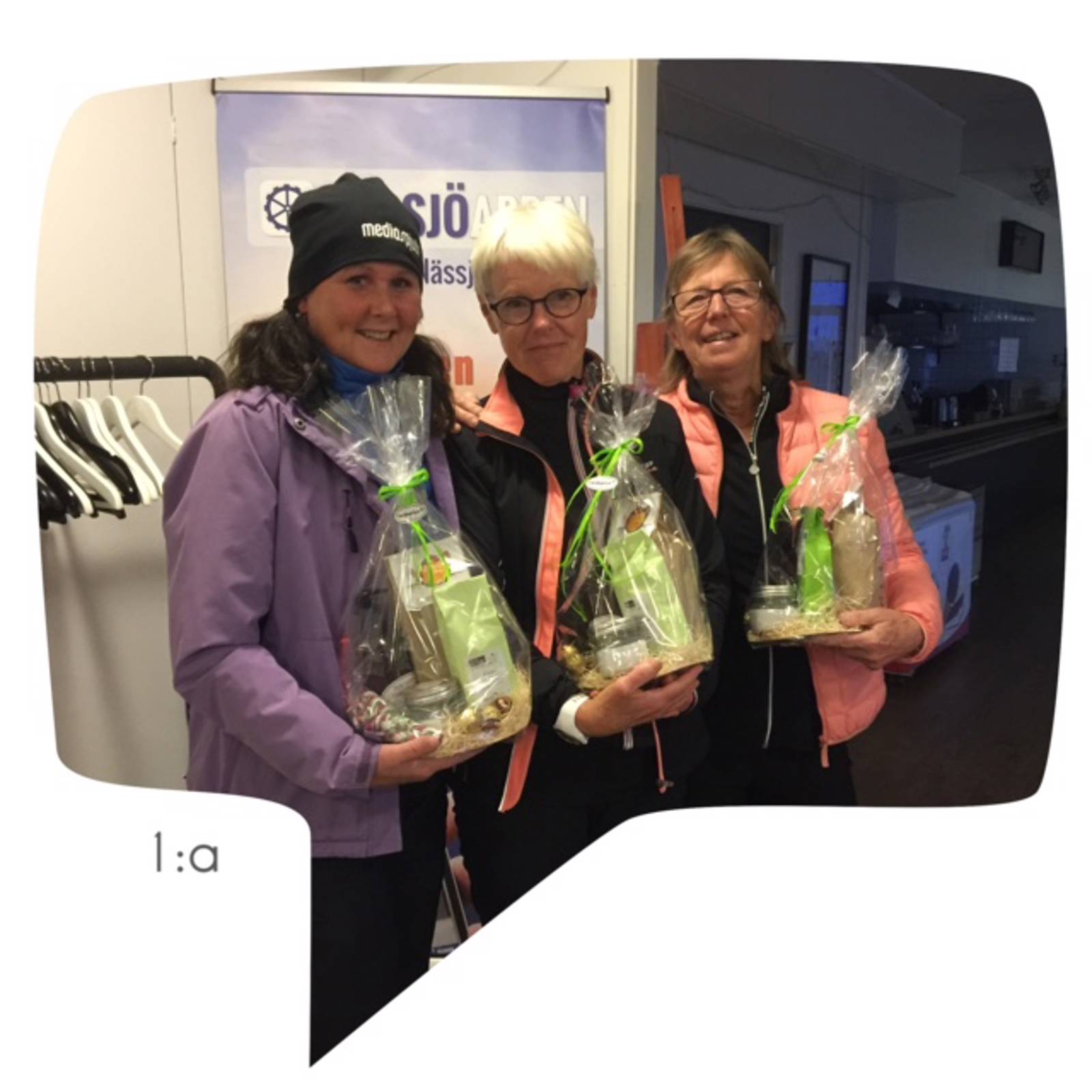 Damerna Bildgalleri.jpg