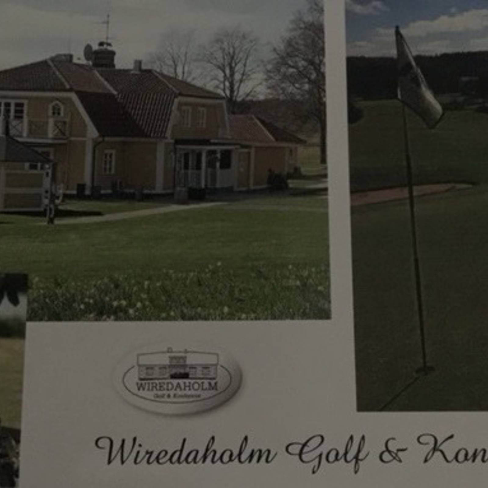 Damerna Nässjö Golfklubb (1).jpg