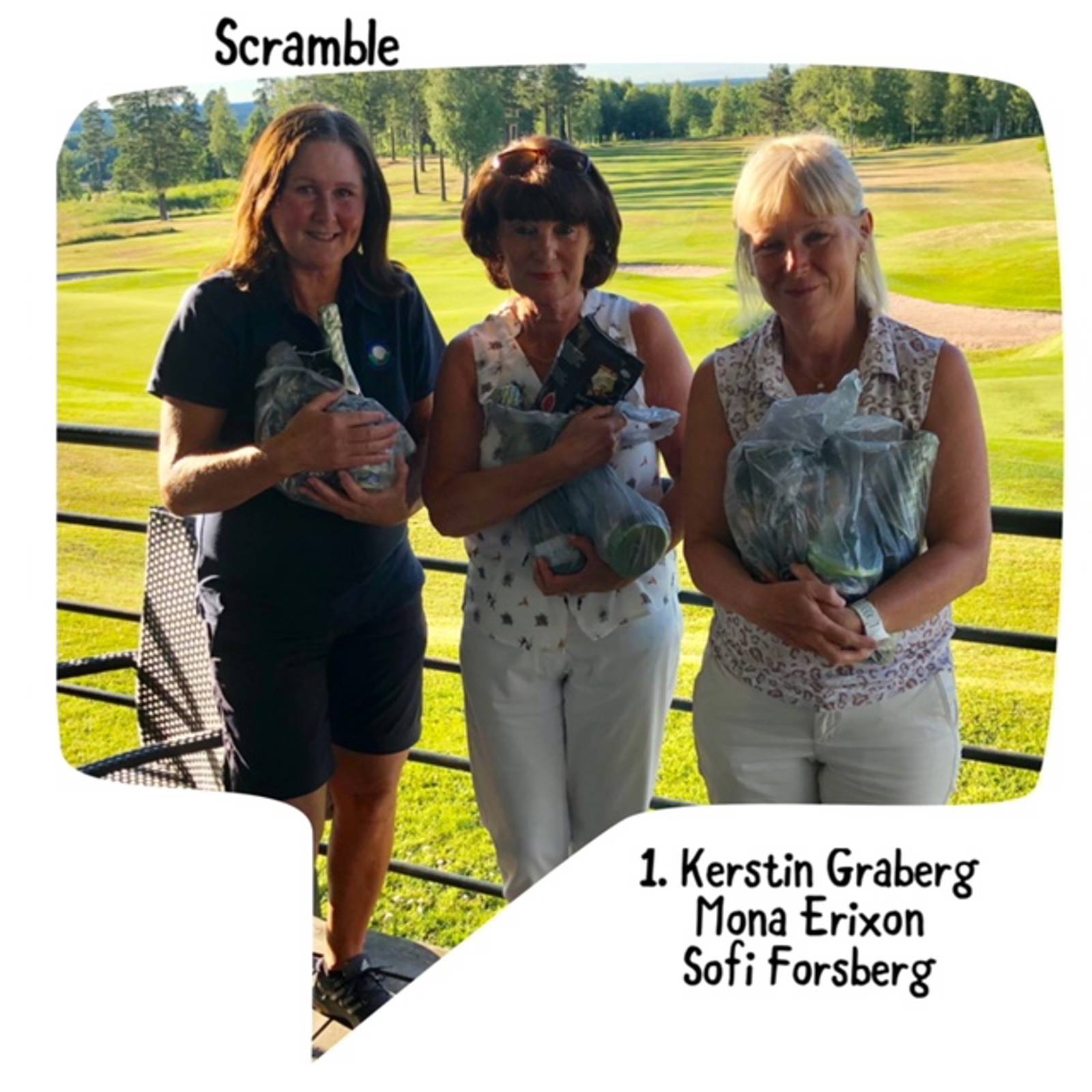 Damerna Bildgalleri.jpeg