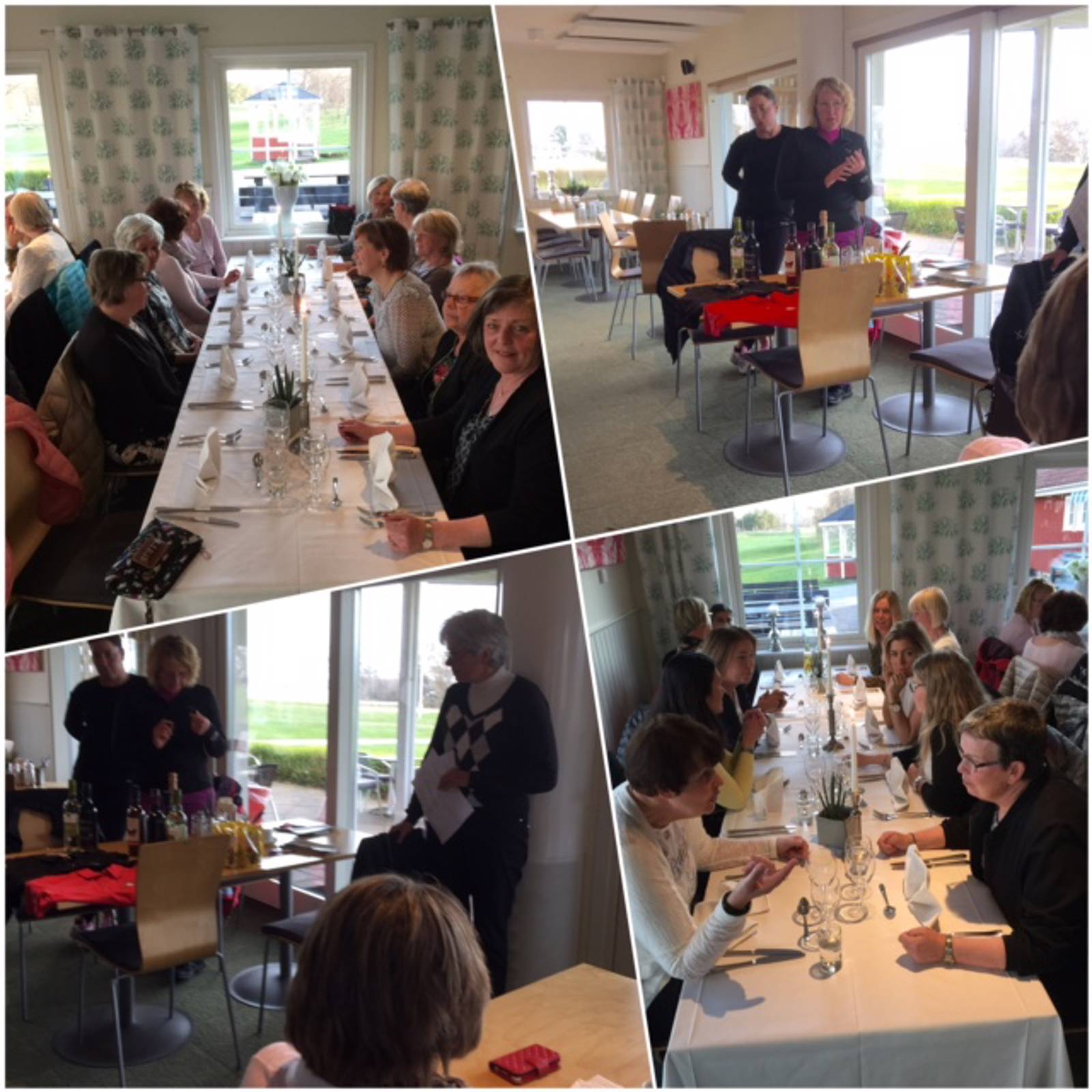 Damerna Bildgalleri (4).jpg