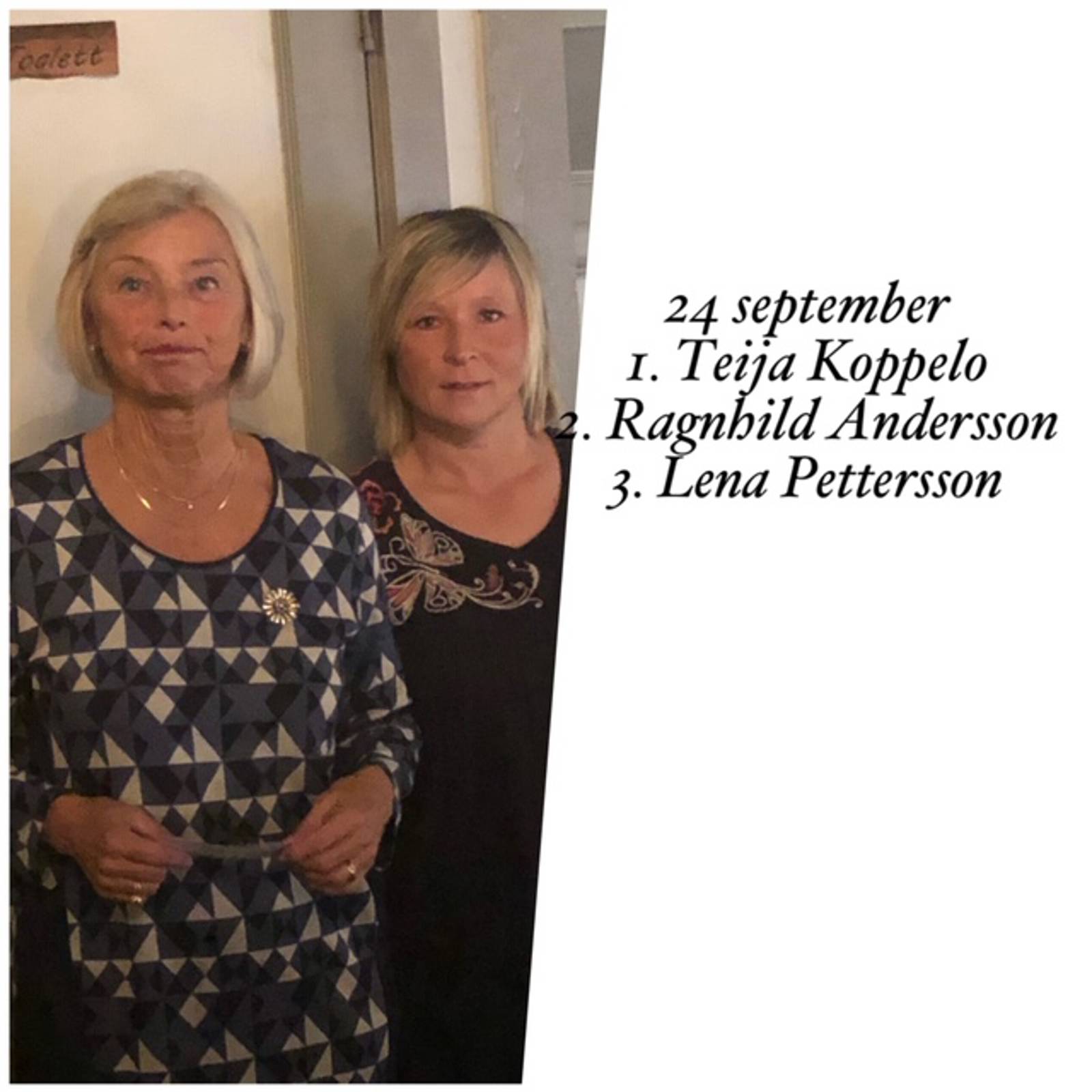 Damerna Bildgalleri (1).jpg