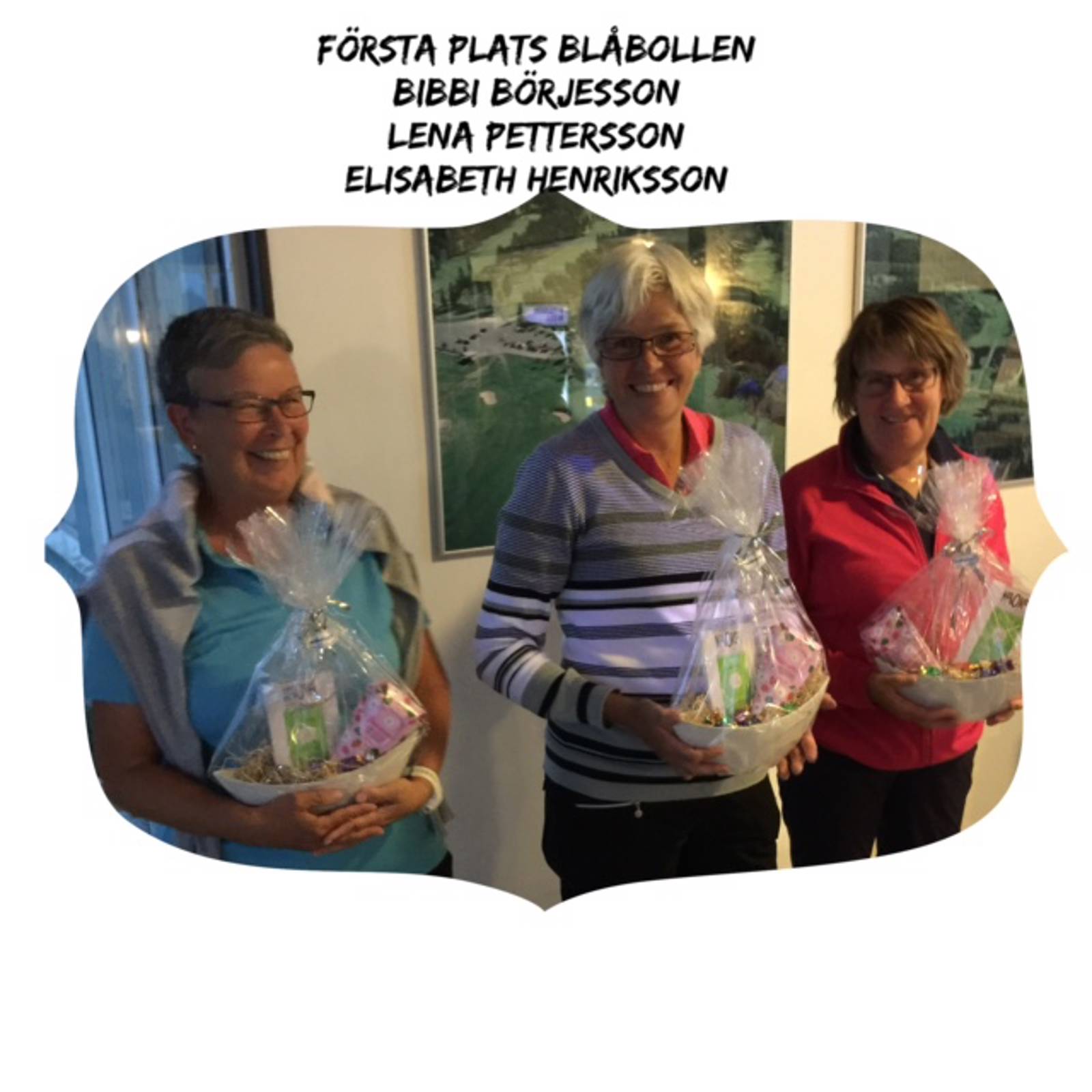 Damerna Bildgalleri 1 (2).jpg