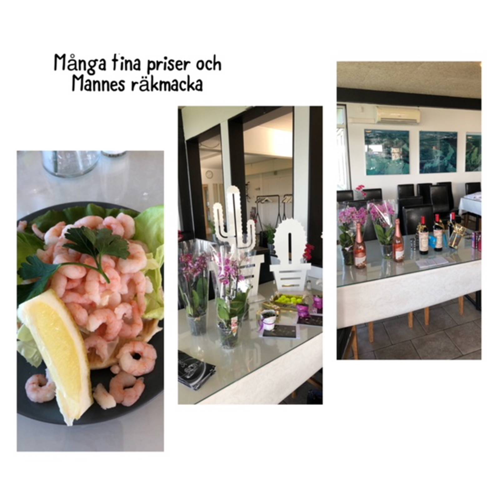 Bildgalleri Damerna (1).jpeg