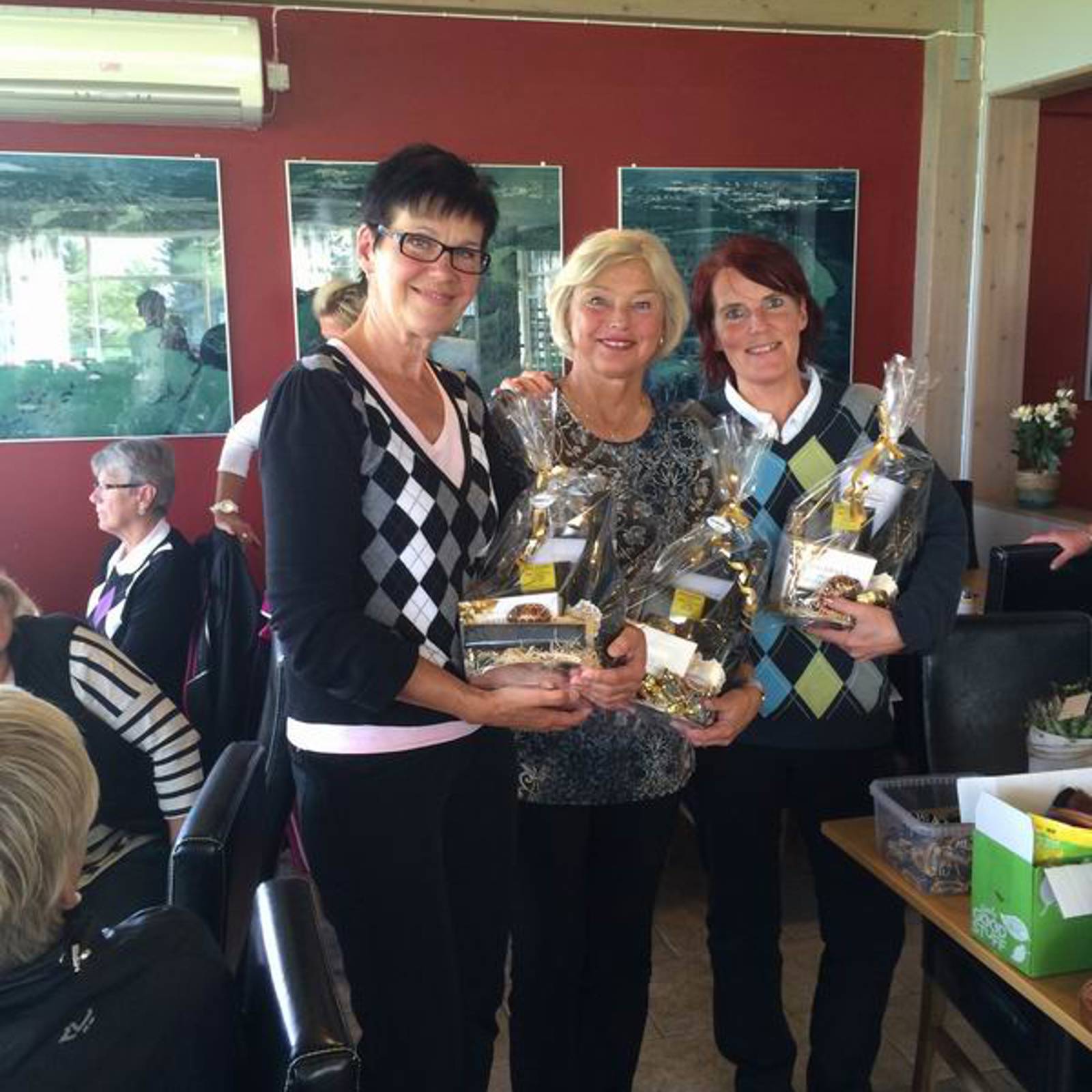 Damerna Bildgalleri (4).jpeg